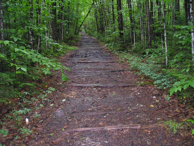PemiBridgeHike (28).JPG - We followed the long, flat Wilderness trail back to the car.